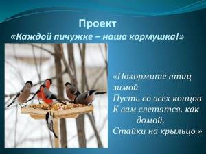 Раскраска покормите птиц зимой #27 #132485