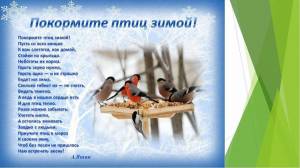 Раскраска покормите птиц зимой #34 #132492