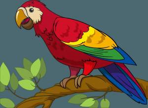 Раскраска попугай для детей #3 #133793