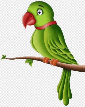 Раскраска попугай для детей #8 #133798