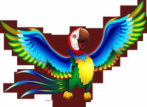 Раскраска попугай для детей #10 #133800