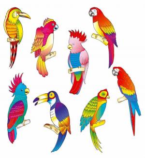 Раскраска попугай для детей #16 #133806