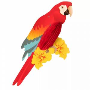 Раскраска попугай для детей #26 #133816
