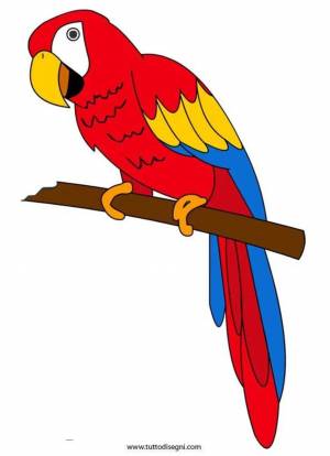 Раскраска попугай для детей #28 #133818