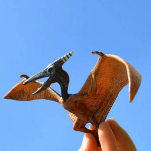 Раскраска птеродактиль #8 #136958