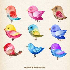 Раскраска птицы для детей #9 #136994