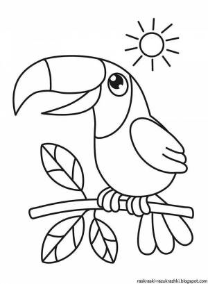 Раскраска птицы для детей 3 4 лет #10 #137031