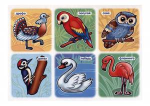 Раскраска птицы для детей 3 4 лет #12 #137033