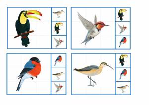 Раскраска птицы для детей 4 5 лет #14 #137072