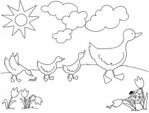 Раскраска птицы для детей 4 5 лет #32 #137090