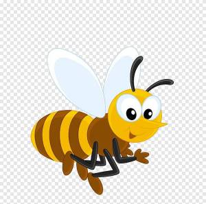 Раскраска пчела для детей #28 #137795