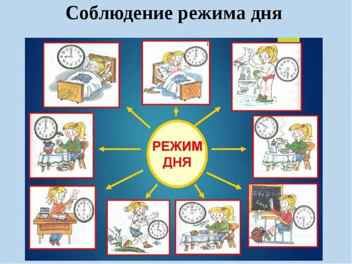 Проект режим школьника