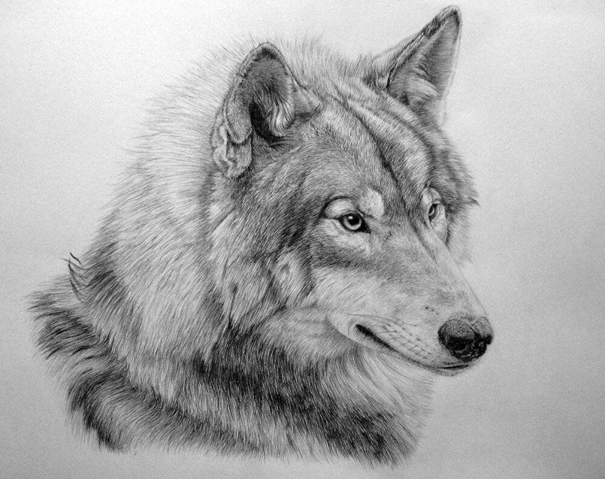 Фотки рисунков. Волк рисунок. Графический портрет волка. Волк карандашом Фотореализм. Волк рисунок карандашом профессиональный цвет.