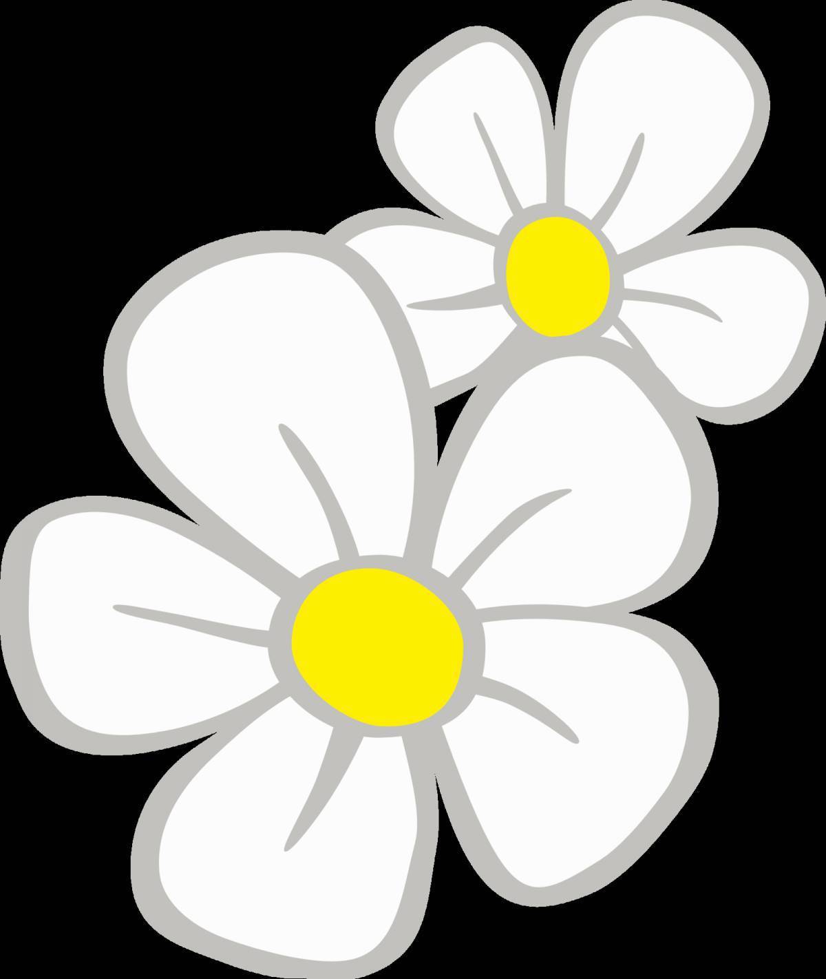 символ россии цветок ромашка. цветы символы ромашка. ромашка символ. трафарет ромашки. краснокнижные ромашки.