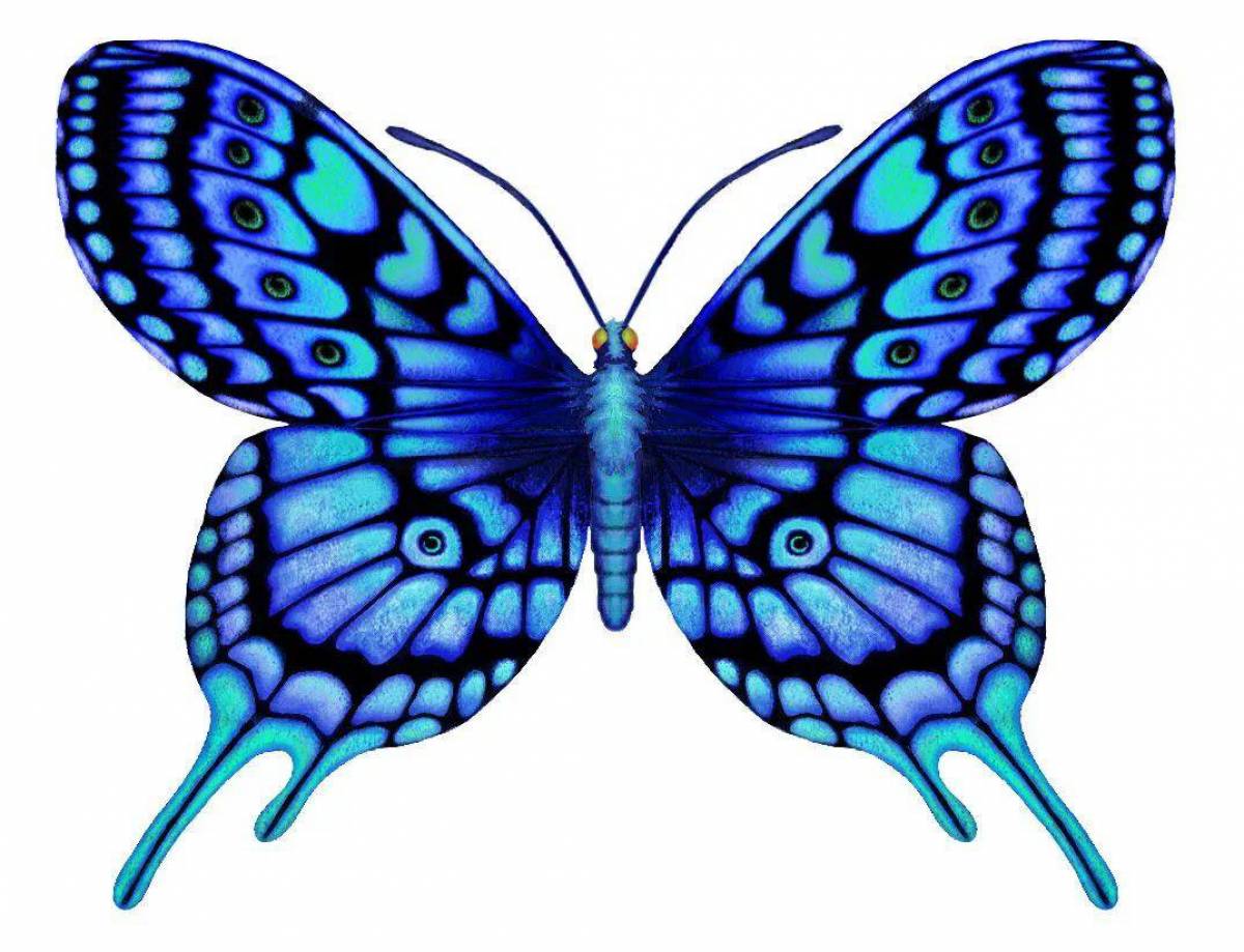 Рисунок бабочка #4