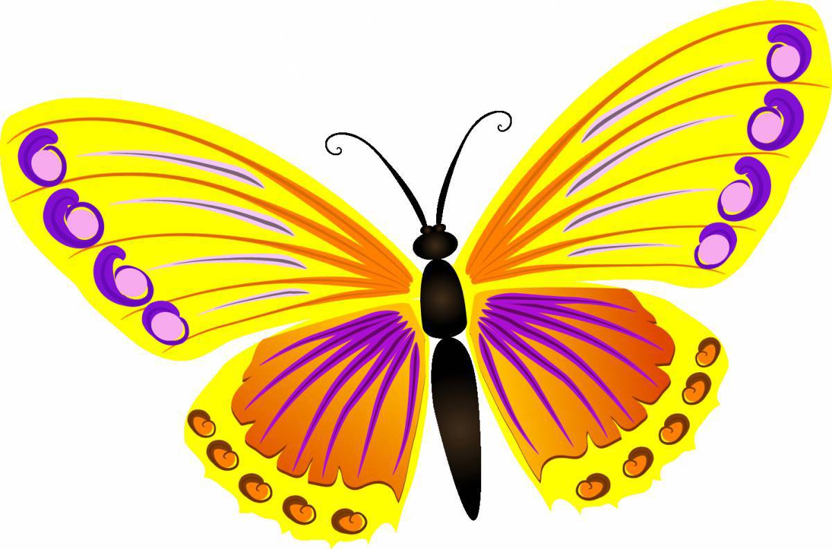 Рисунок бабочка #13