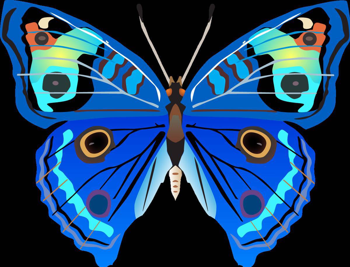 Рисунок бабочка #17