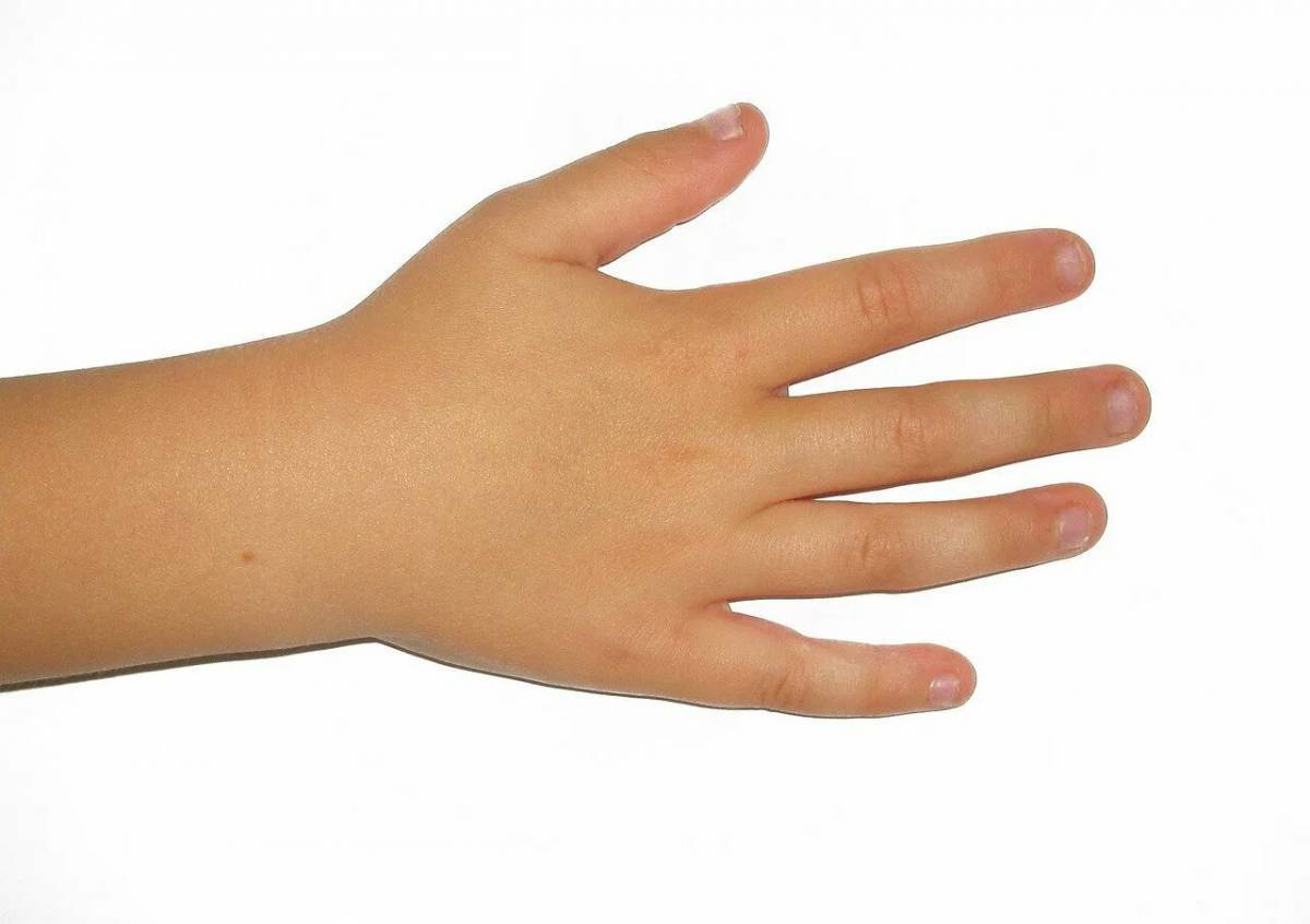 Рука для детей #7