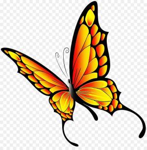 Раскраска рисунок бабочка #16 #141595