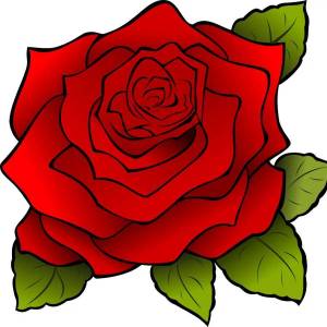 Раскраска роза для детей #3 #142978
