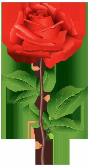 Раскраска роза для детей #4 #142979