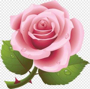 Раскраска роза для детей #5 #142980