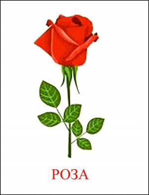 Раскраска роза для детей #7 #142982