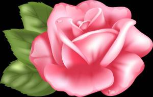 Раскраска роза для детей #10 #142985