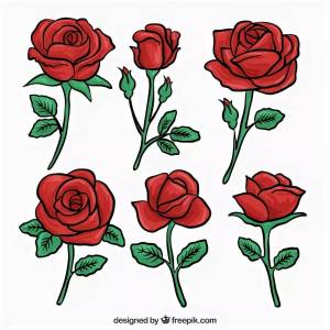 Раскраска роза для детей #11 #142986