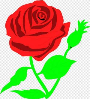 Раскраска роза для детей #17 #142992