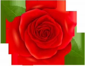 Раскраска роза для детей #19 #142994