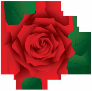 Раскраска роза для детей #21 #142996