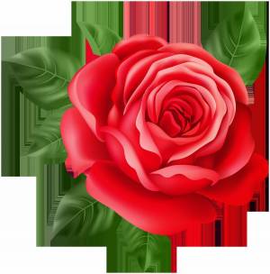 Раскраска роза для детей #23 #142998