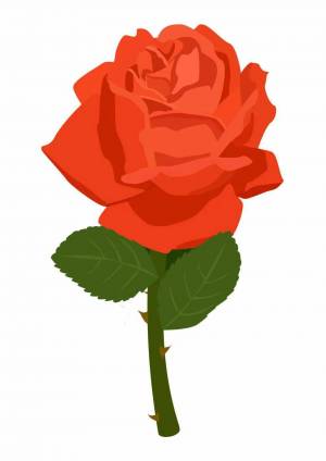 Раскраска роза для детей #27 #143002