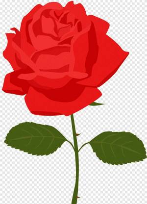 Раскраска роза для детей #35 #143010