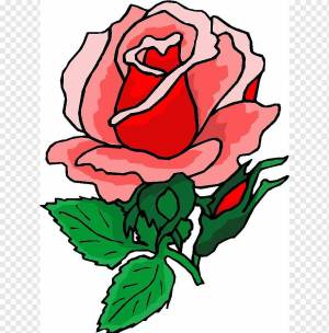 Раскраска роза для детей #36 #143011