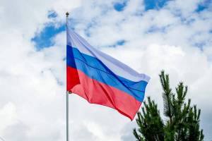 Раскраска российский флаг #20 #143393