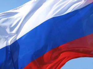 Раскраска российский флаг #21 #143394