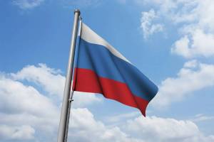 Раскраска российский флаг #29 #143402
