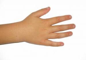 Раскраска рука для детей #7 #143626