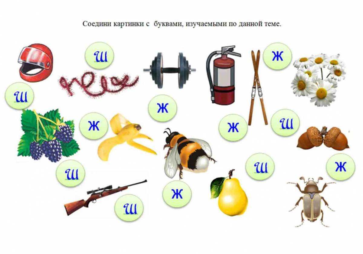 Картинки на звук ж для дошкольников