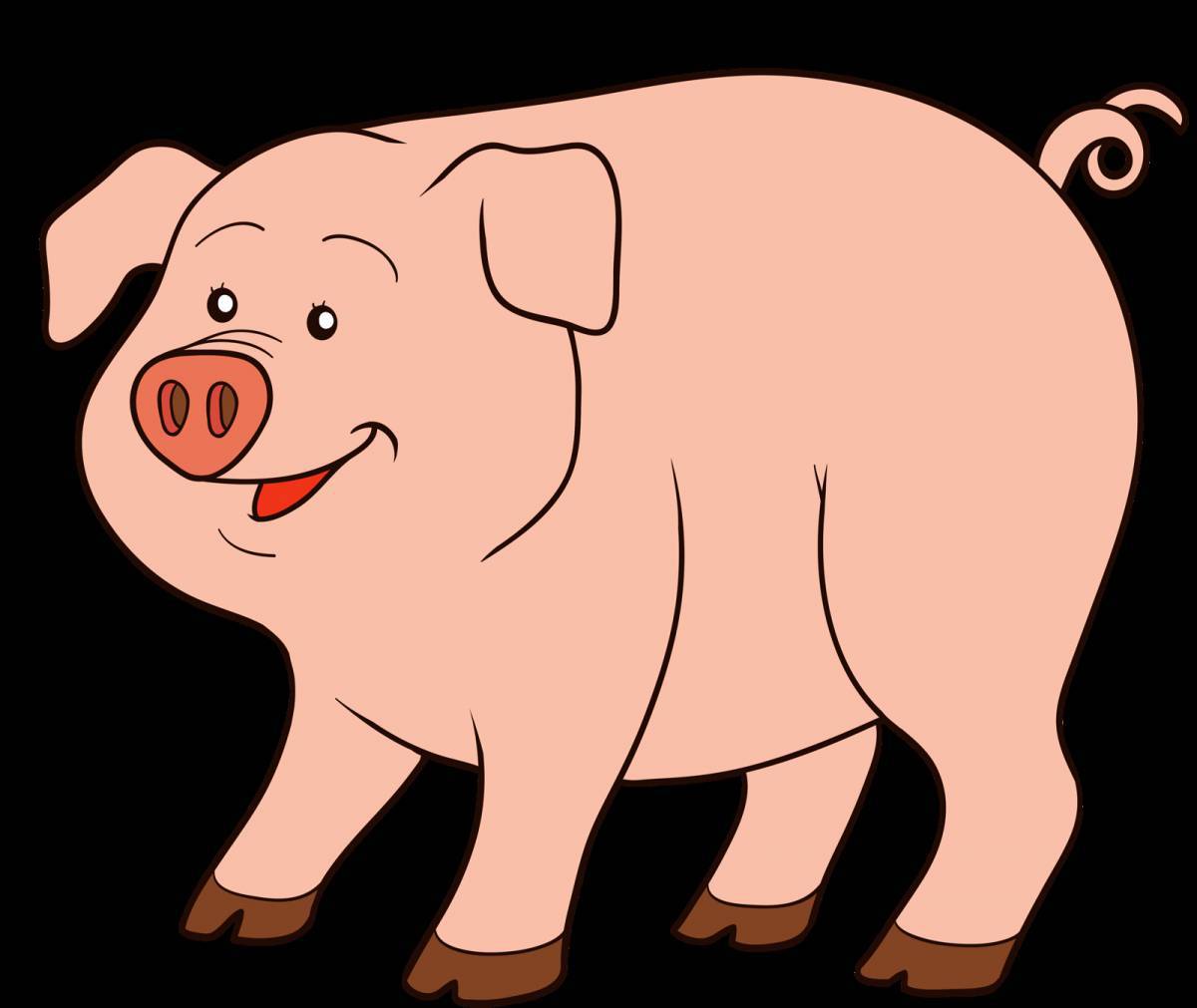 Свинка #18