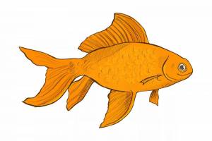 Раскраска рыбка для детей картинка #5 #144491
