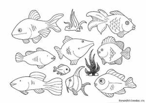 Раскраска рыбы для детей 6 7 лет #15 #144634