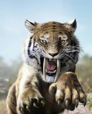 Раскраска саблезубый тигр #5 #145859