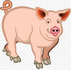 Раскраска свинья для детей #2 #147155