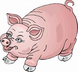 Раскраска свинья для детей #3 #147156