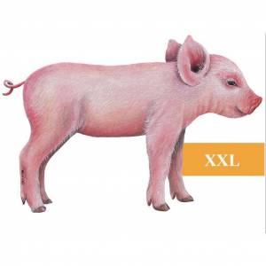 Раскраска свинья для детей #6 #147159