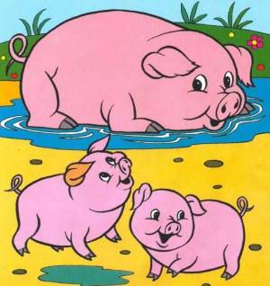 Раскраска свинья для детей #7 #147160