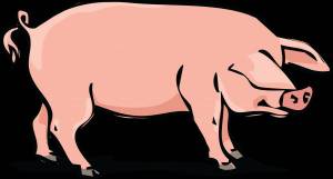 Раскраска свинья для детей #14 #147167